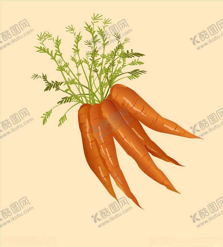 编号：82767007141114119945【酷图网】源文件下载-红萝卜
