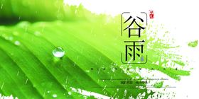 谷雨