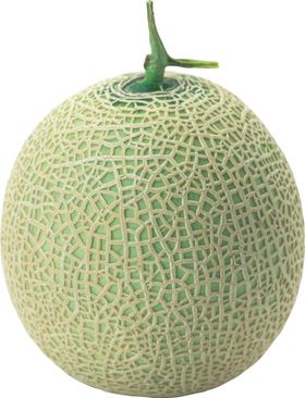 哈密瓜