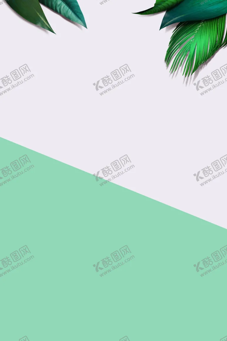 编号：55965007011827234920【酷图网】源文件下载-撞色白绿叶子电商背景