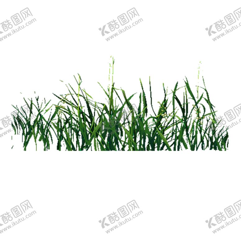 编号：37031509272034386131【酷图网】源文件下载-绿色相框