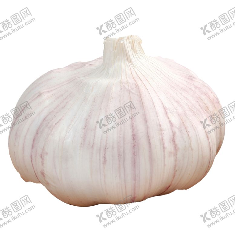 编号：97536809250814251947【酷图网】源文件下载-蒜高清食材