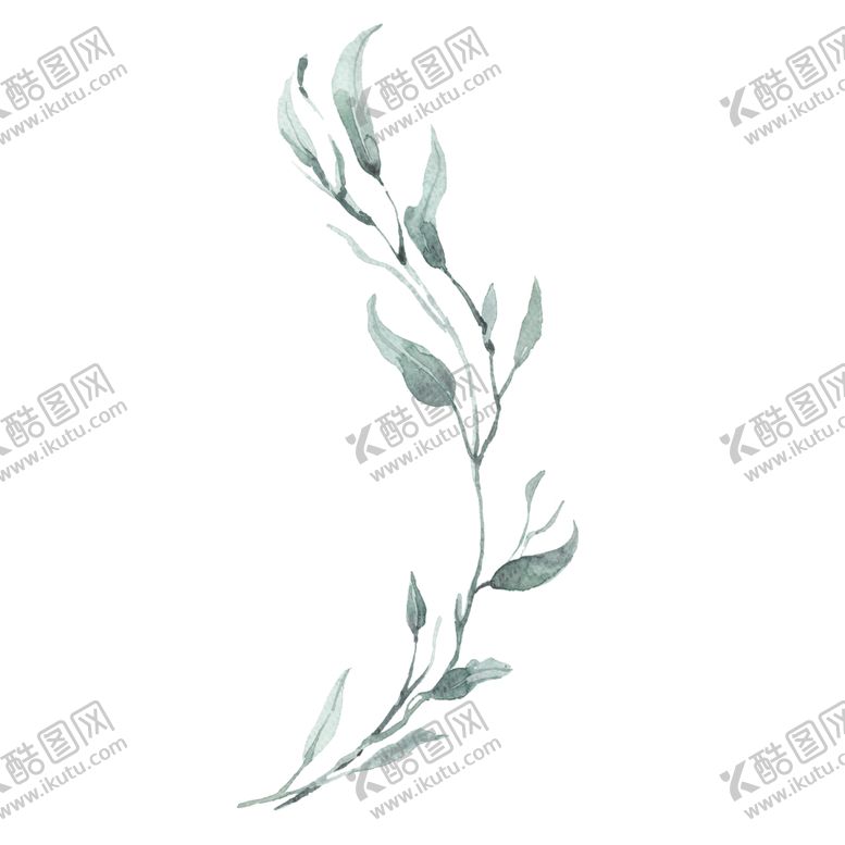 编号：24313709212300384445【酷图网】源文件下载-小清新水彩植物树枝