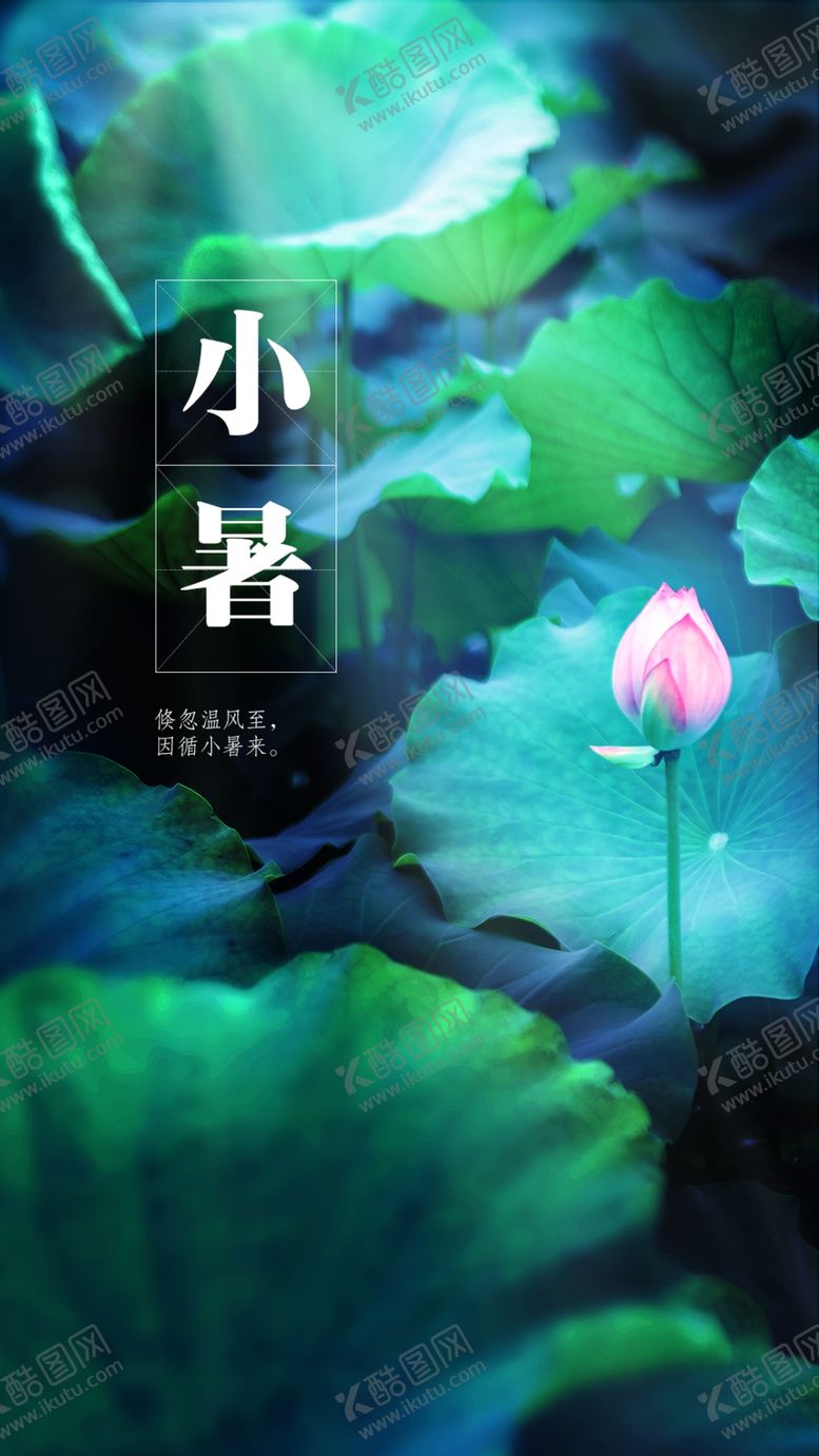 编号：75167910171250096493【酷图网】源文件下载-二十四节气小暑