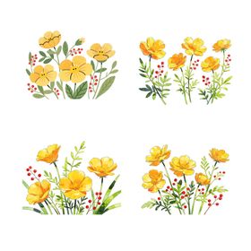 手绘黄色花卉图案集合