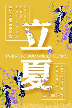 立夏简约海报