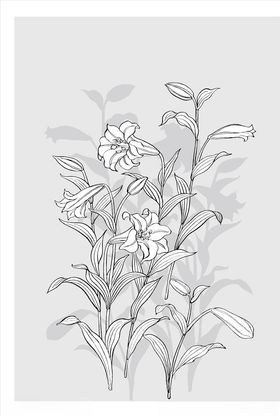 线描花朵