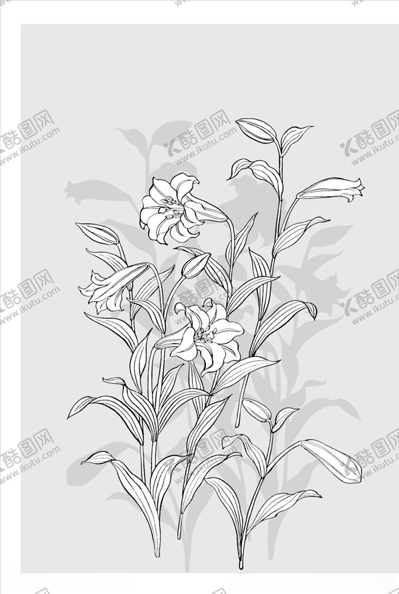 编号：17776207021945467393【酷图网】源文件下载-线描花朵