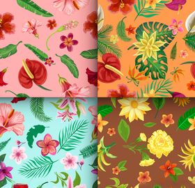植物插画合集