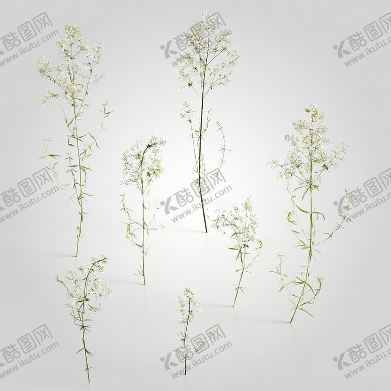 编号：31736802190851136695【酷图网】源文件下载-C4D模型绿色植物