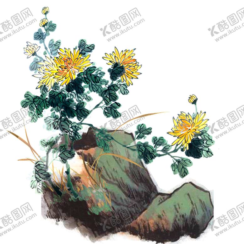 编号：29553105130443541263【酷图网】源文件下载-水墨菊花