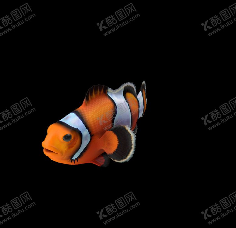 编号：11578706270908135628【酷图网】源文件下载-海洋生物