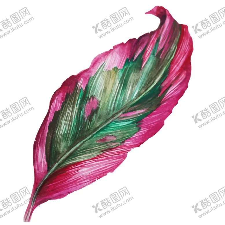编号：32523902022227153653【酷图网】源文件下载-手绘树叶