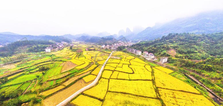 编号：76760110021204205280【酷图网】源文件下载-广丰嵩峰秋收