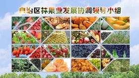 水果展板农果展板水果排版