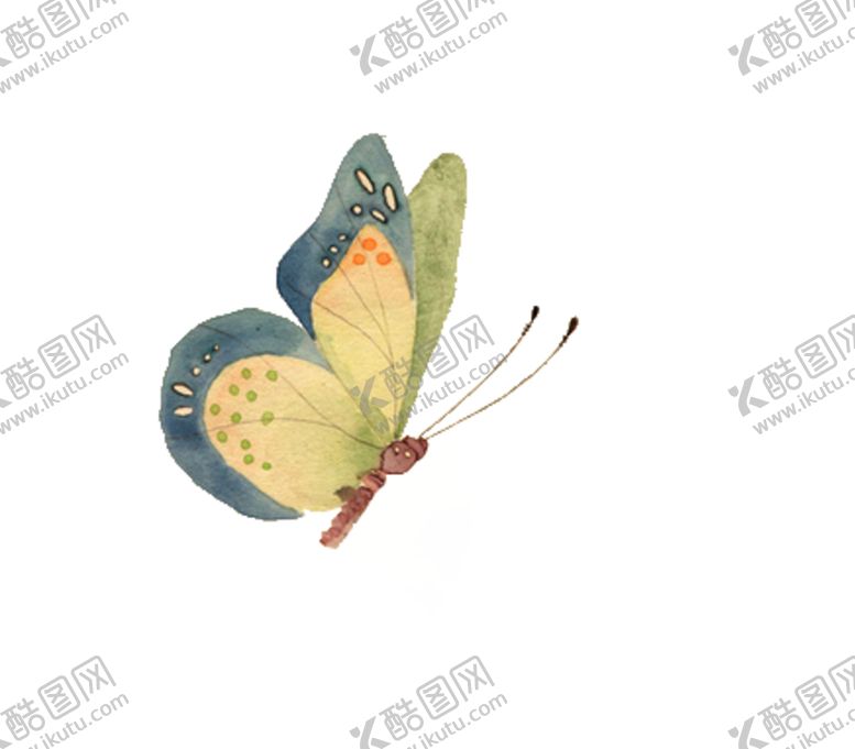 编号：23528604180621351178【酷图网】源文件下载-蝴蝶
