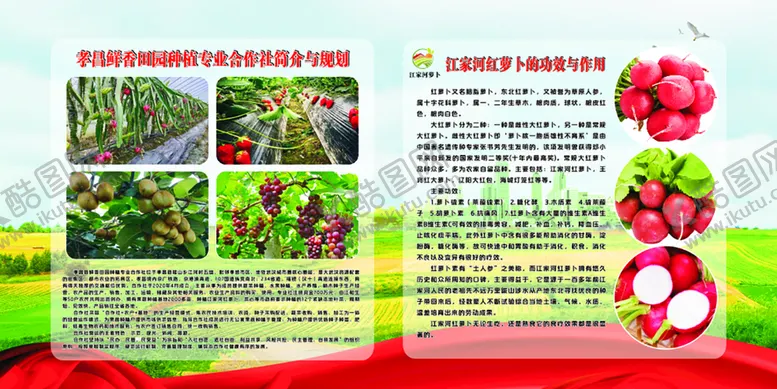 编号：17351101132205448319【酷图网】源文件下载-江家河萝卜
