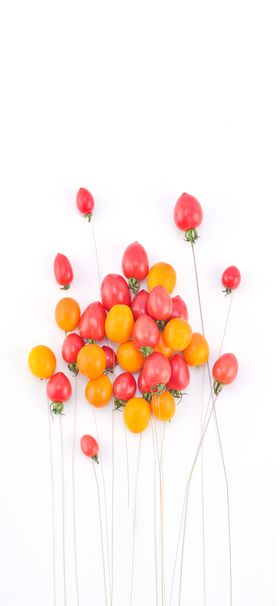 手机壁纸北欧挂画儿童房挂画大自然油画绘元素