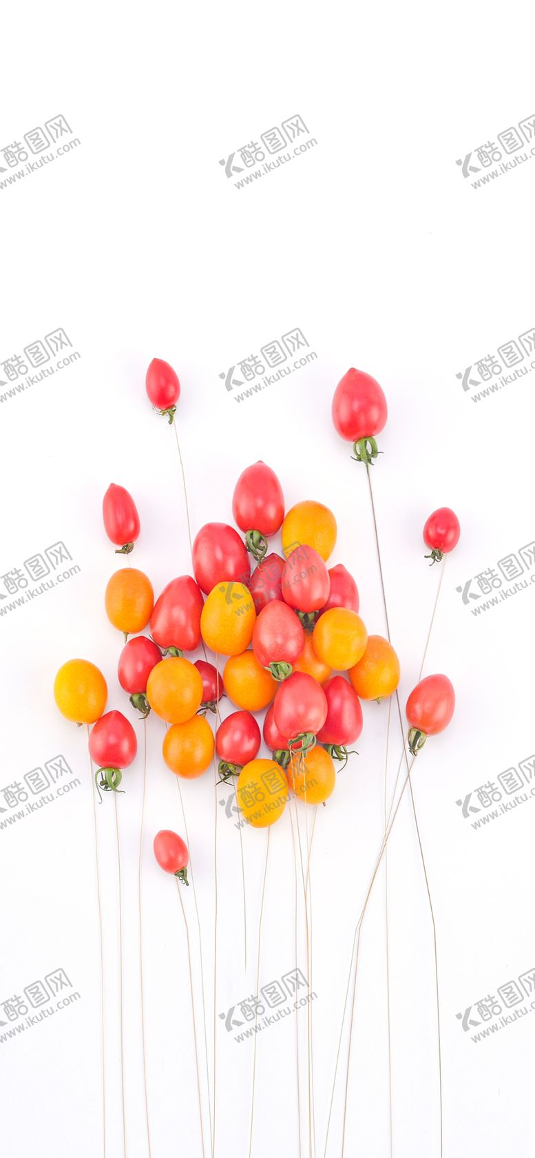 编号：45882207030016251966【酷图网】源文件下载-手机壁纸