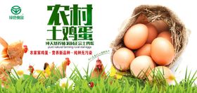 笨鸡蛋