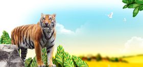 草原上的威武老虎