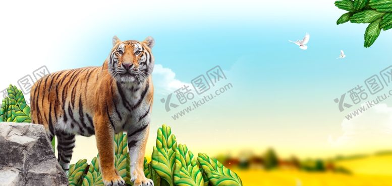 编号：57854211020953025492【酷图网】源文件下载-草原上的威武老虎