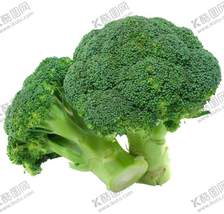 编号：38253904190526537477【酷图网】源文件下载-西蓝花
