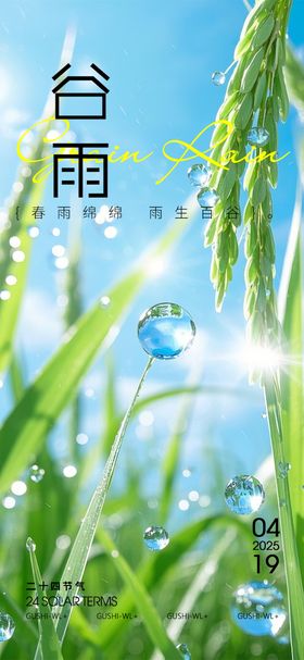谷雨节气海报