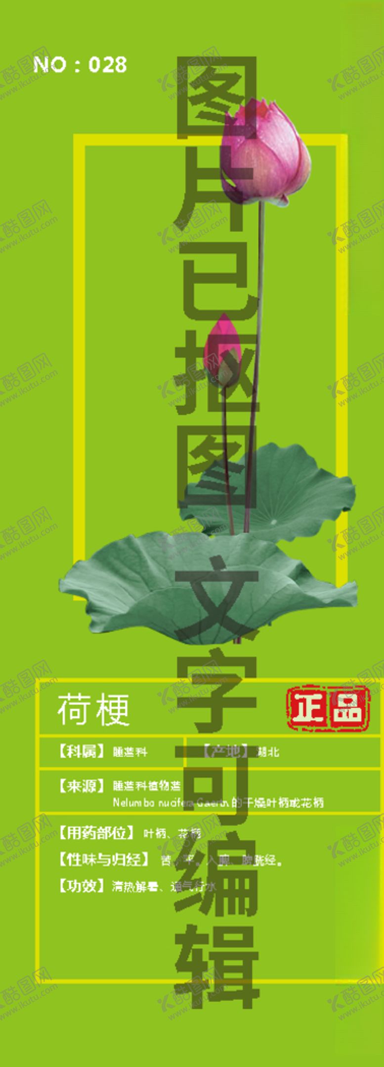 编号：62562506250118534913【酷图网】源文件下载-荷梗