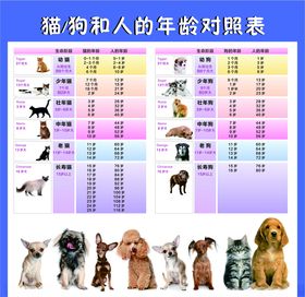 猫狗年龄对照表