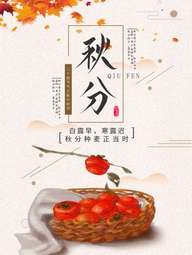 中国简约风秋分海报