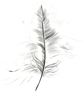 羽毛 素材