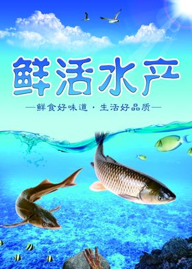 鲜活水产