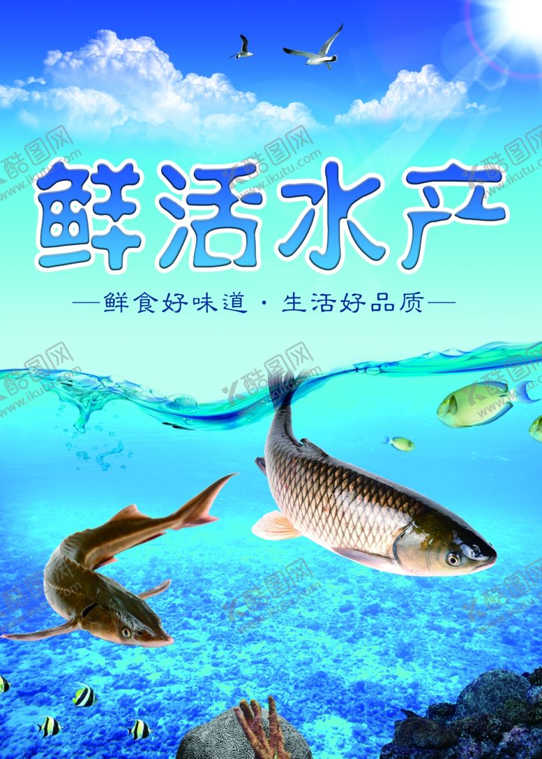 编号：19760304281759277492【酷图网】源文件下载-鲜活水产