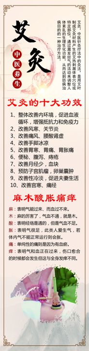 艾灸养生文化经络美容