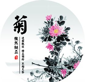 兰的图片