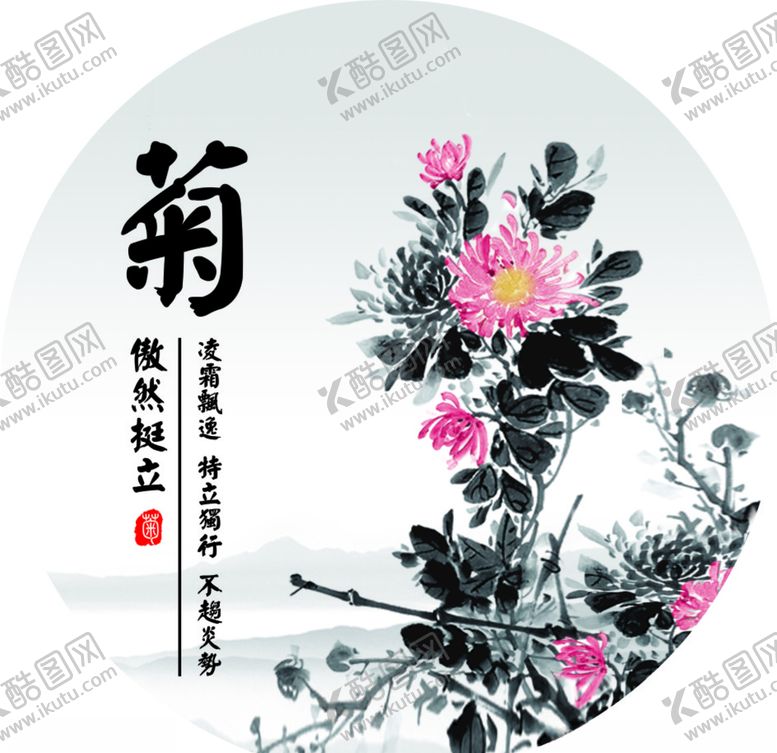 编号：30683707060122219752【酷图网】源文件下载-菊的图片