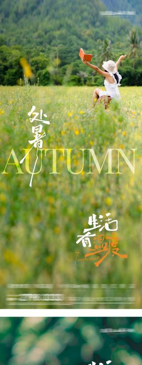 处暑秋分实景节气海报