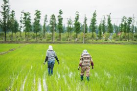 五一劳动节劳动人物城市劳动者