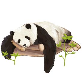 手绘熊猫