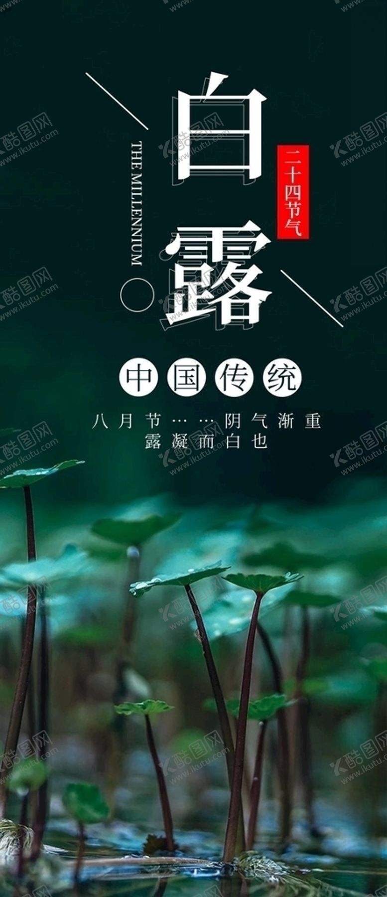 编号：57222506182356475883【酷图网】源文件下载-白露