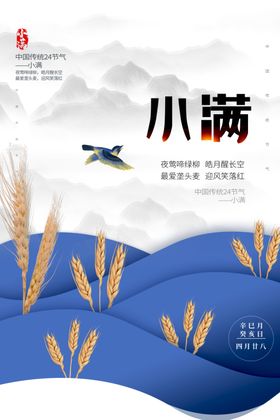 渐变高端小满海报