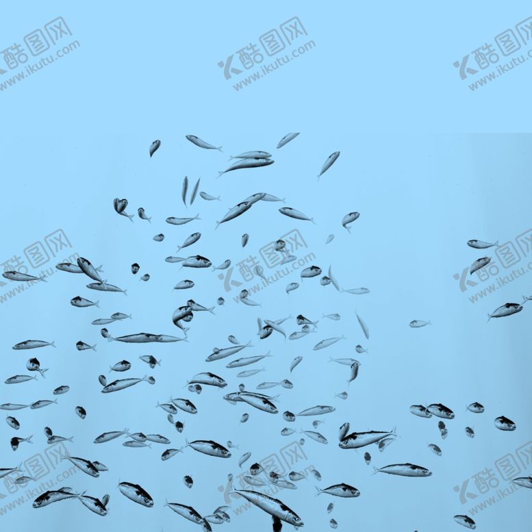 编号：43046609172056051443【酷图网】源文件下载-设计抽象鱼