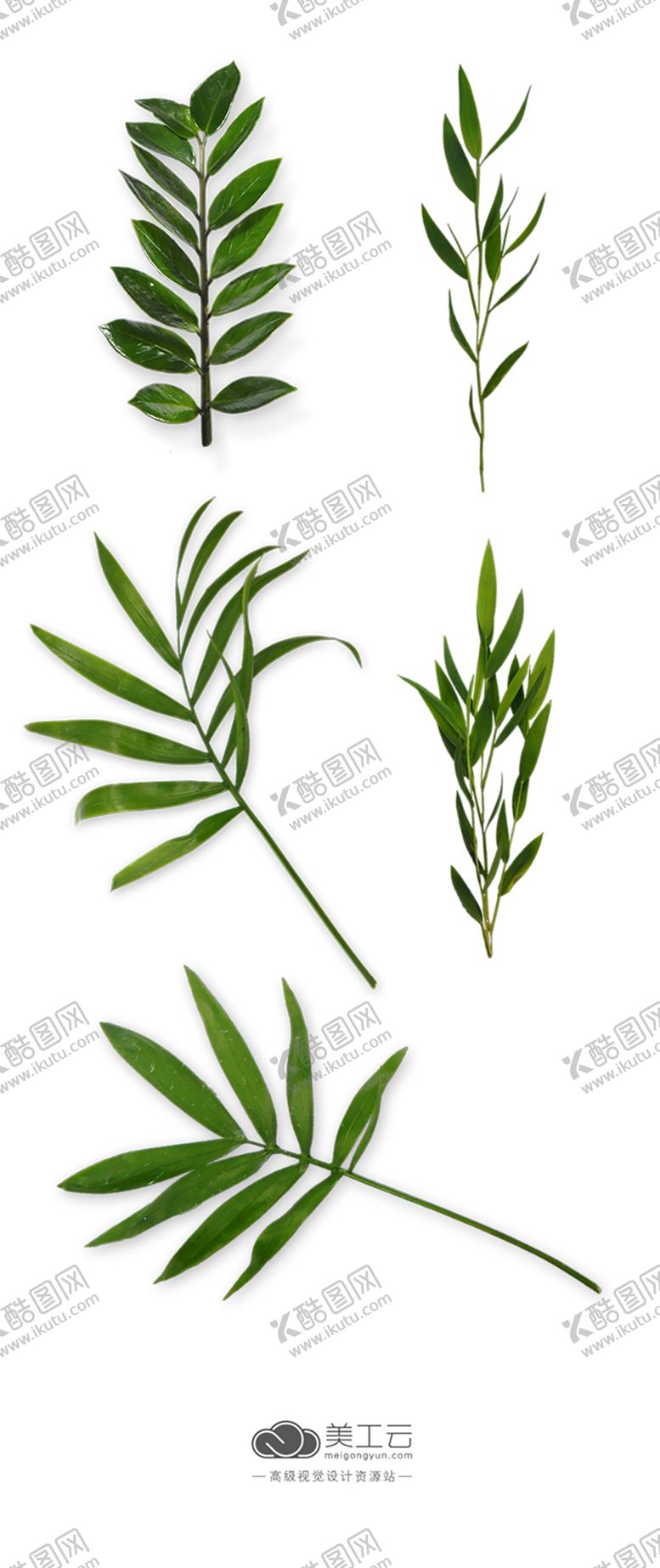 编号：55026207060804365623【酷图网】源文件下载-绿色植物