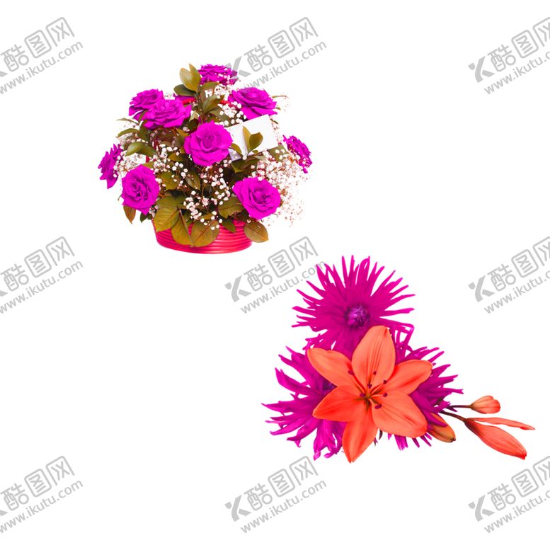 编号：59020805050032418025【酷图网】源文件下载-鲜花素材