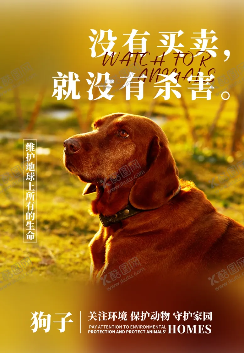 编号：48083001131824389048【酷图网】源文件下载-保护动物