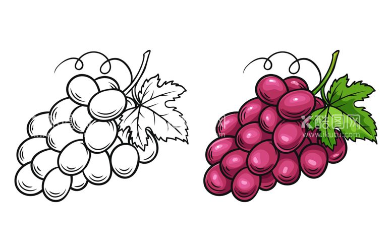 编号：18691512210915091476【酷图网】源文件下载-卡通葡萄