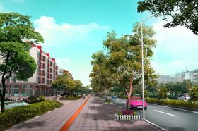 金丰路道路绿化景观效果图
