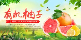 水果蔬菜有机海报无公害绿色食品海报店海报