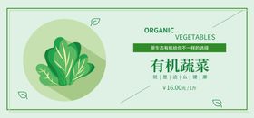 有机蔬菜